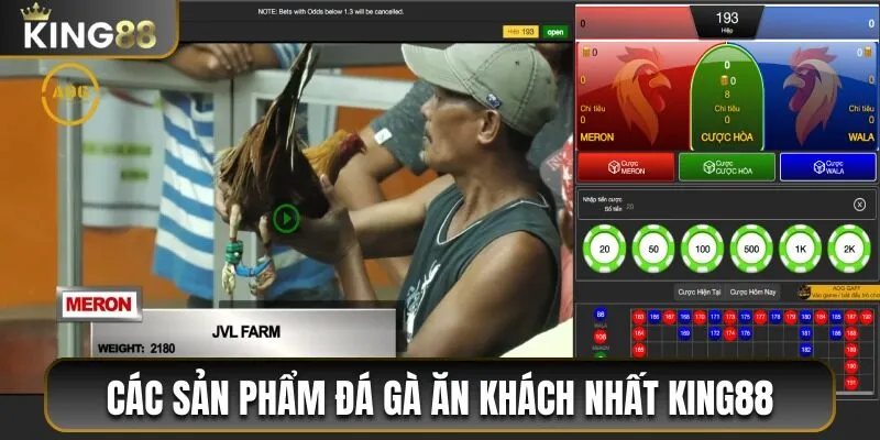 Các sản phẩm đá gà đặc sắc được chơi nhiều nhất