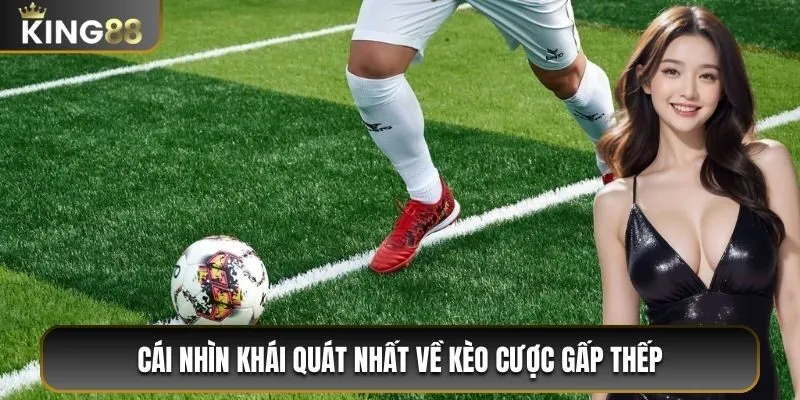 Cái nhìn khái quát nhất về kèo cược gấp thếp 