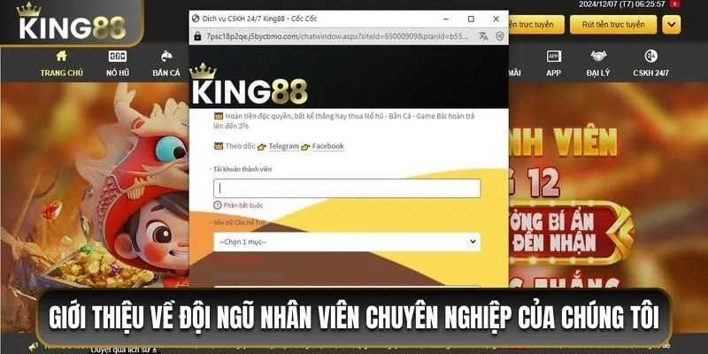 Giới thiệu về đội ngũ nhân viên chuyên nghiệp của chúng tôi