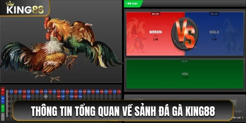 Sảnh đá gà King88 đẳng cấp số 1 thị trường